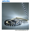 5630 SMD blanco blanco doble + tira blanca caliente del LED